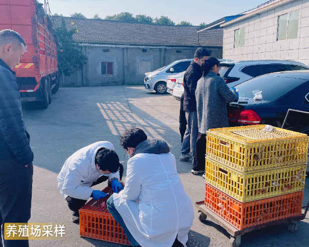 ����ȫ�濪չ�����ش����߲�ר���� ���ζ�����߰�ȫ����