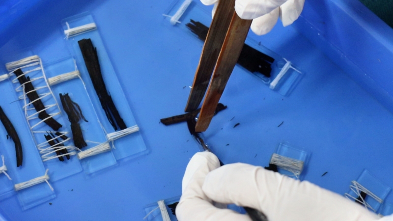 ���֮�ϣ��ӳ�����չ���������α���������