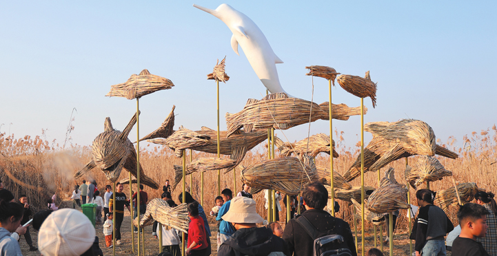  «έ����֯����̬����