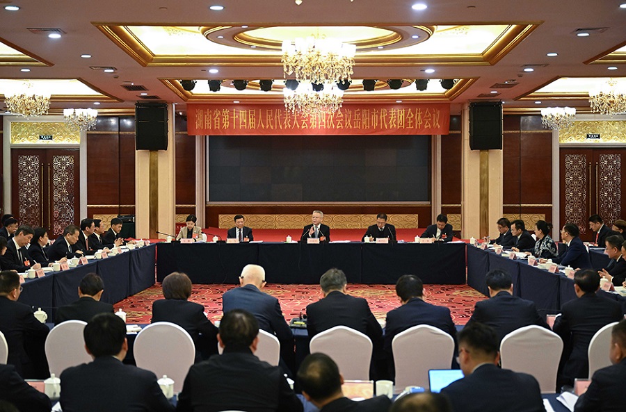 沈晓明参加岳阳市代表团审议