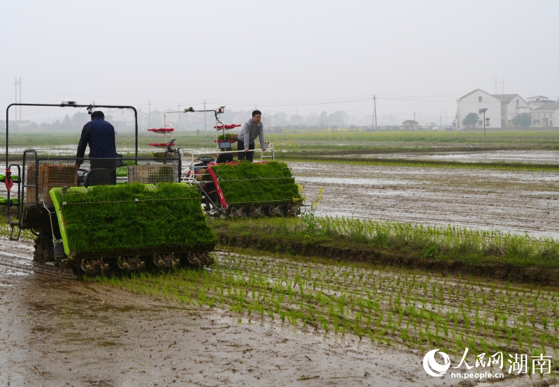 ���˫�����������������ʾ������������������ҵ������������ ������